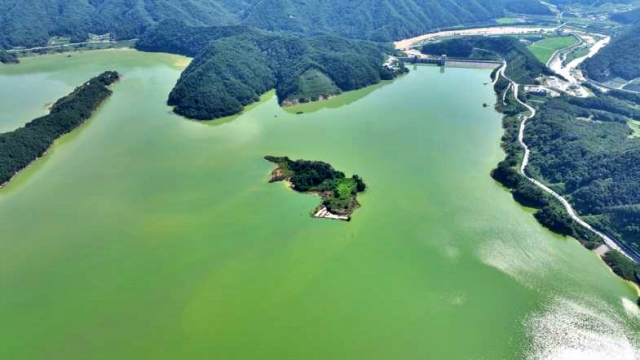 경북 영주댐의 심각한 녹조 현장(2023.8.5) / 사진.대구환경운동연합