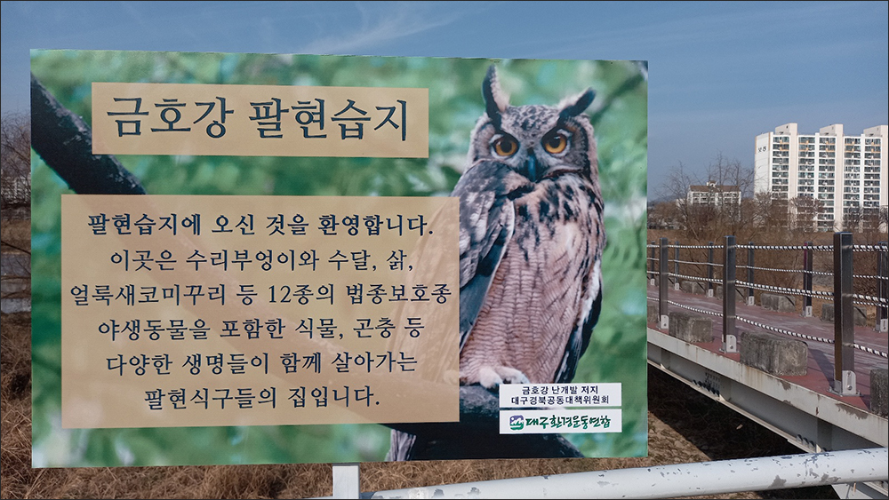 금호강 팔현습지 / 사진. 김문주