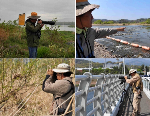 육안, 쌍안경, 도보, 카메라 등 금호강에서 조류 실태조사를 하고 있다. / 사진.생명평화아시아