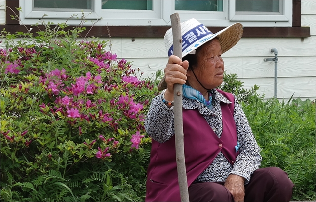 성주군 소성리 주민 도금연 할머니가 경찰 버스를 바라보고 있다.(2017.4.25) / 사진.평화뉴스