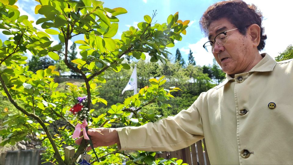 나정태 유족회 대표이사는 어버이날을 맞아 처음으로 아버지의 배롱나무에 카네이션을 걸었다.(2024.5.8) / 사진.평화뉴스 김영화 기자