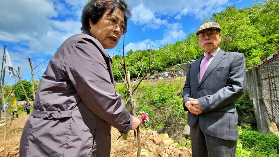 임윤태, 임윤재씨 남매가 74년 만에 아버지의 배롱나무에 카네이션을 걸고 있다.(2024.5.8) / 사진.평화뉴스 김영화 기자