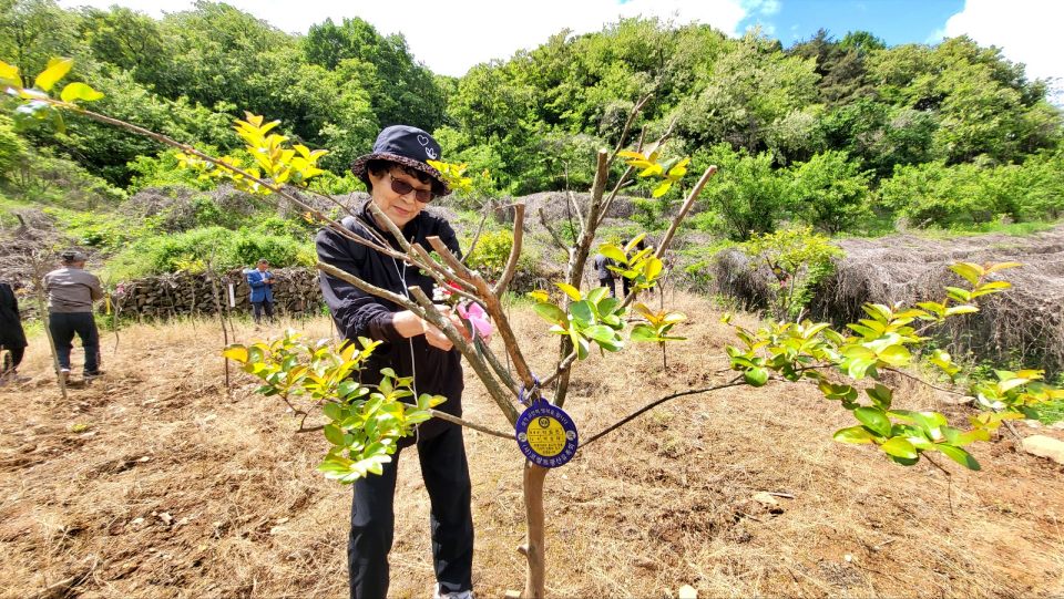코발트광산 유족들은 배롱나무에 카네이션을 걸며 슬픔을 감추지 못했다.(2024.5.8) / 사진.평화뉴스 김영화 기자