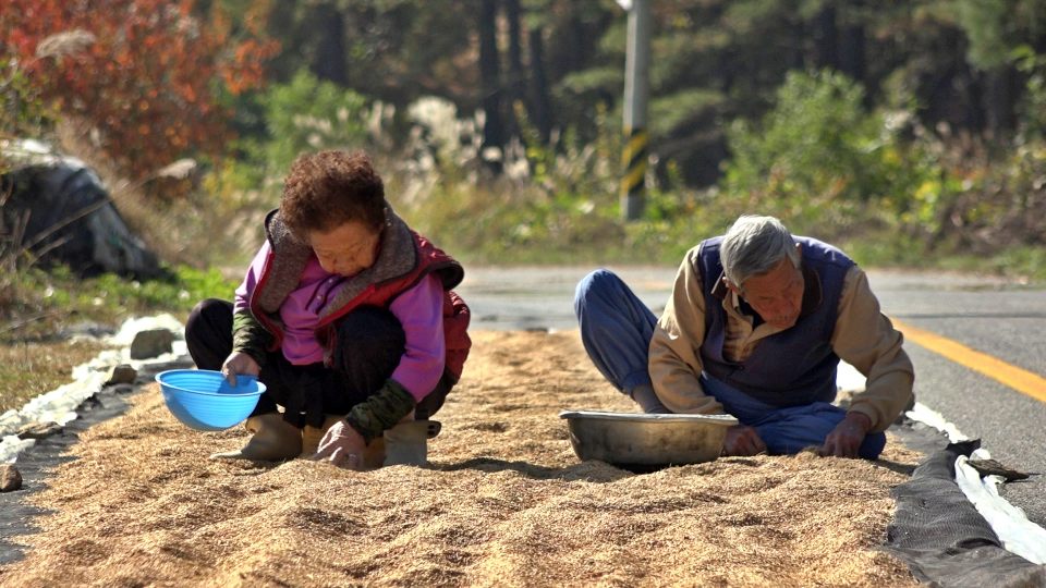 다큐멘터리 영화  스틸컷 / 사진.서울국제환경영화제