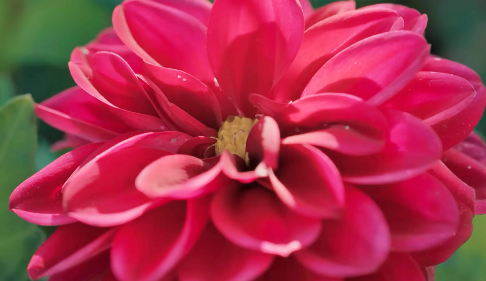 영화 '존 오브 인터레스트'의 한 장면 / 사진.A24