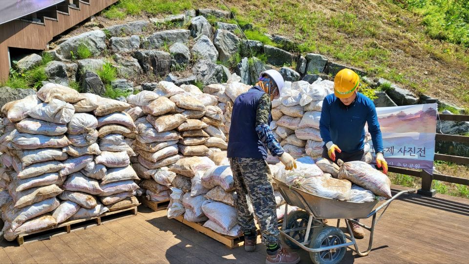 70여년간 캄캄한 갱도 안에 잠들어 있다가 동굴 밖으로 나와 빛을 보는 유해들. 포대자루 수백개를 차례대로 쌓고 있다.(2024.6.18) / 사진.평화뉴스 김영화 기자