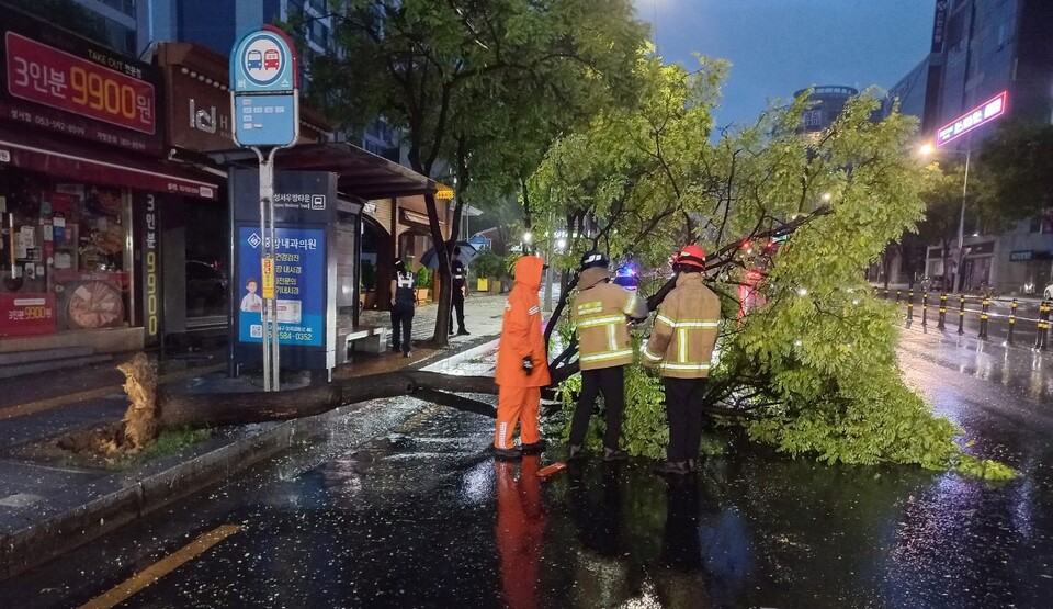 대구 달서구 계대동문 버스 정류장 앞 나무가 넘어가 소방대원들이 안전 조치 중이다.(2024.7.10일 오전 5시 1분쯤) / 사진.대구소방본부