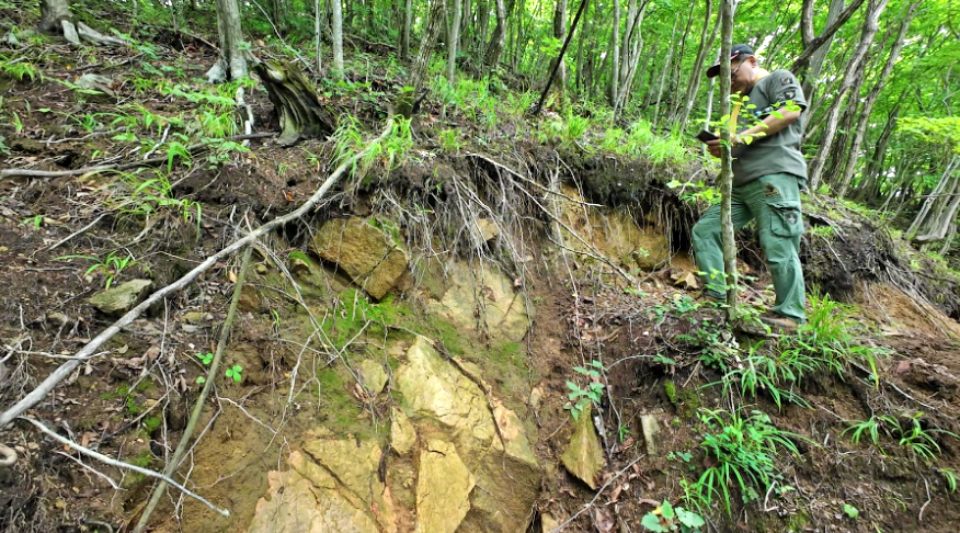 경북 경주시 황용동 땅밀림 2번의 지반이 내려앉은 모습 / 사진.녹색연합 