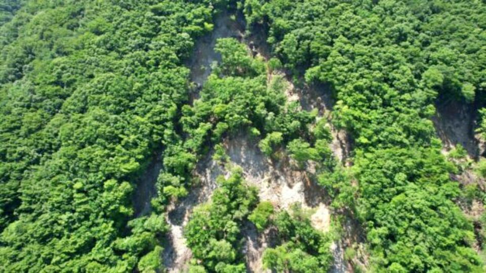 경주 황용동 땅밀림 1번 현장 상단부의 산사태 진행 모습 / 사진.녹색연합 