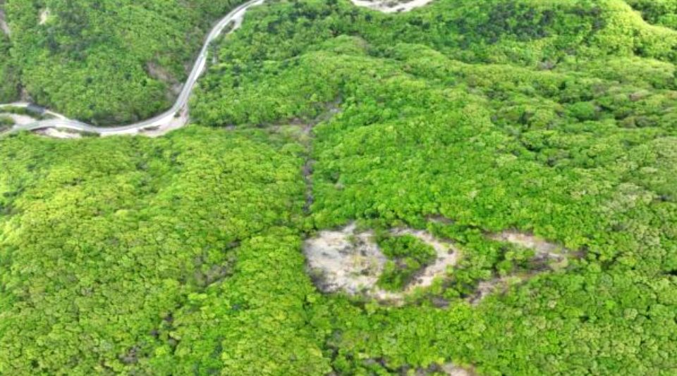 경주 황용동 땅밀림 1번의 현장과 아래 945번 지방도로 / 사진.녹색연합 