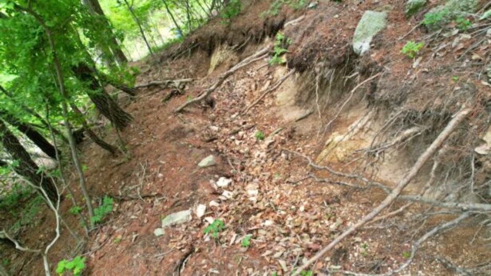 경주 문무대왕면 땅밀림 현장은 지반이 내려앉아 1.5m 가량 벌어져 있다. 무너지면 대형 산사태가 발생할 수 있다. / 사지.녹색연합 