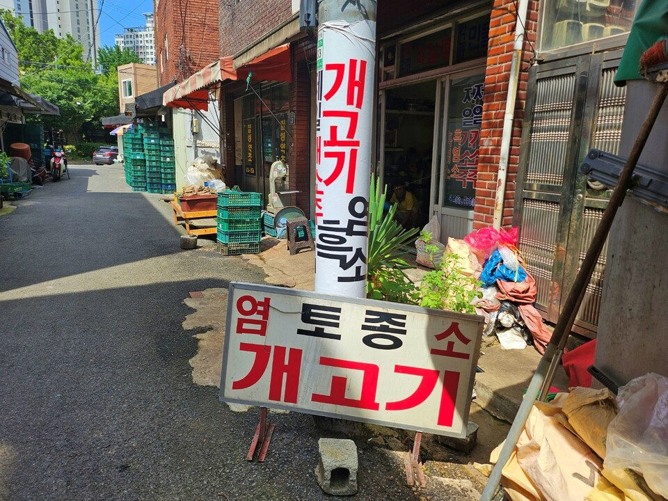 "토종 개고기"...칠성개시장 인근 건강원 앞에 놓인 간판(2024.7.25) / 사진.평화뉴스 정준민 기자