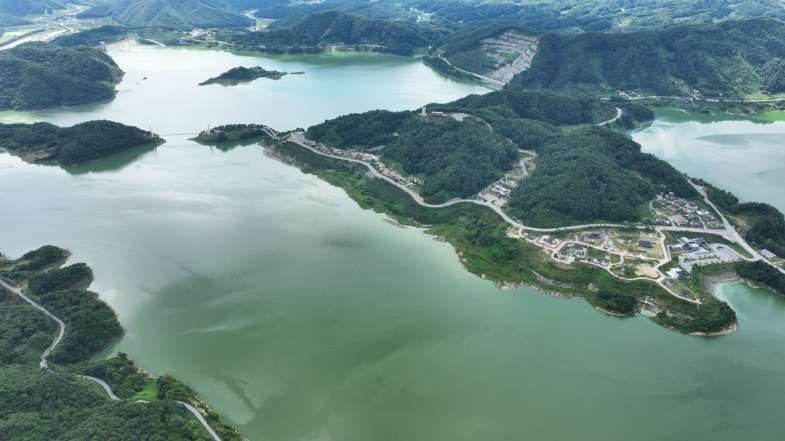 영주댐 전체에 넓게 핀 녹조의 모습(2024.7.26) / 사진.대구환경운동연합
