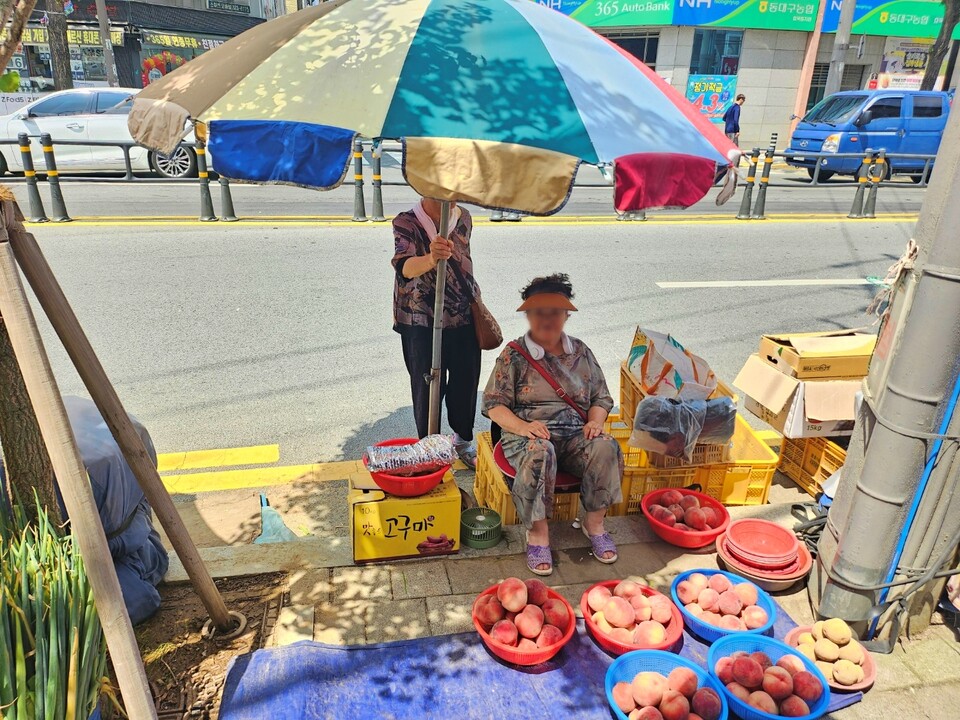 최모(75)할머니가 파라솔 그늘 아래서 휴대용 선풍기에 의존한 채 복숭아를 팔고 있다.(2024.8.2동구시장) / 사진.평화뉴스 정준민 기자