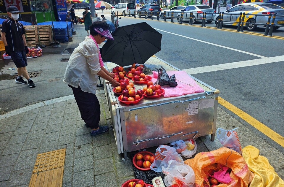 김모(81) 할머니가 땡볕에서 복숭아를 팔고 있다.(2024.8.2.대구 동구 효목동 동구시장) / 사진.평화뉴스 정준민 기자