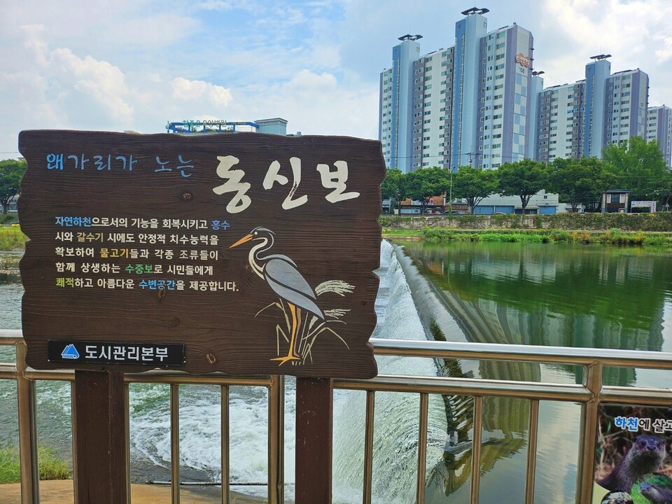 대구 중구 동인동 동신교 인근 동신보(2024.9.2) / 사진.평화뉴스 정준민 기자