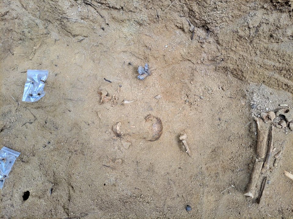 경북 김천 돌고개에서 민간인 학살 희생자들의 유해가 발견됐다.(2024.9.2) / 사진.김천유족회