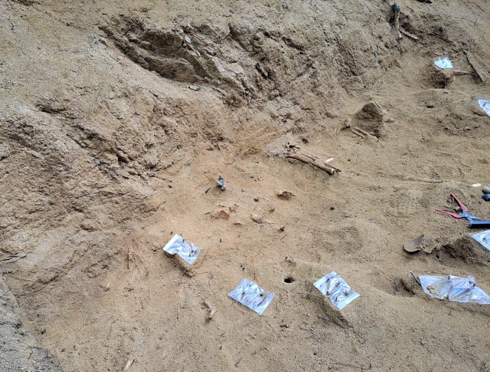 탄피와 탄두 여러 점이 유해들과 뒤섞여 발견됐다.(2024.9.2) / 사진.평화뉴스 김영화 기자