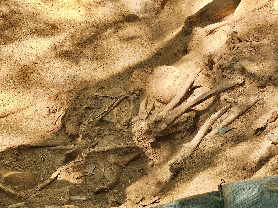 한국전쟁 전후 민간인 학살지인 경북 김천 구성면 송죽리 돌고개에서 사람의 두개골 파편과 정강이뼈 등 유해들이 뒤엉켜 있다.(2024.9.11) / 사진.김천교육너머