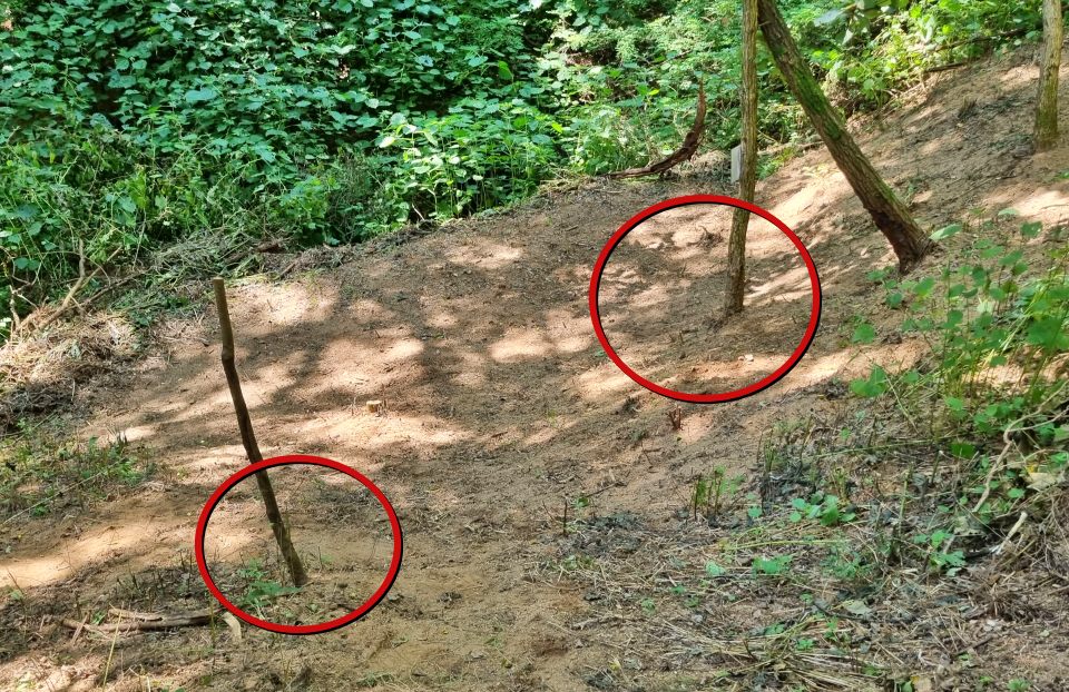 이번에 유해를 발굴한 곳 이외에 또 다른 시신 매장 추정지(2024.9.11) / 사진.김천교육너머