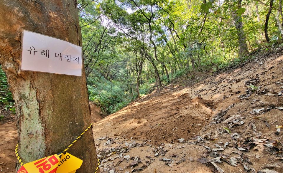 돌고개에는 발굴되지 못한 '유해 매장지'가 6곳이나 더 남았다.(2024.10.11) / 사진.평화뉴스 김영화 기자 
