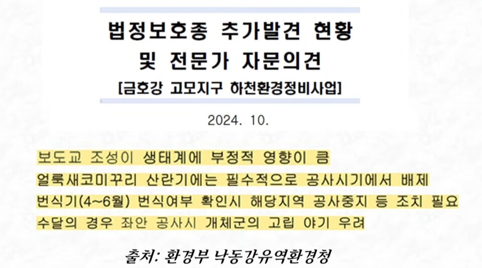 '법정보호종 추가 발견 현황 및 전문가 자문의견'(2024.10.14) / 화면 캡처. 국회 인터넷의사중계시스템