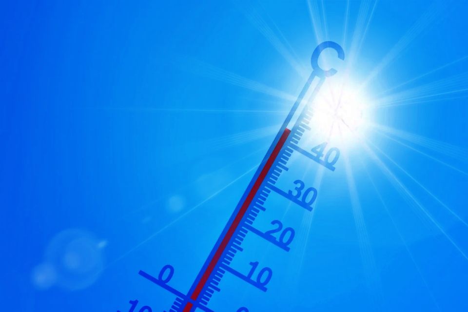 40도를 육박하는 체온계 / 사진.무료이미지 사이트 픽사베이