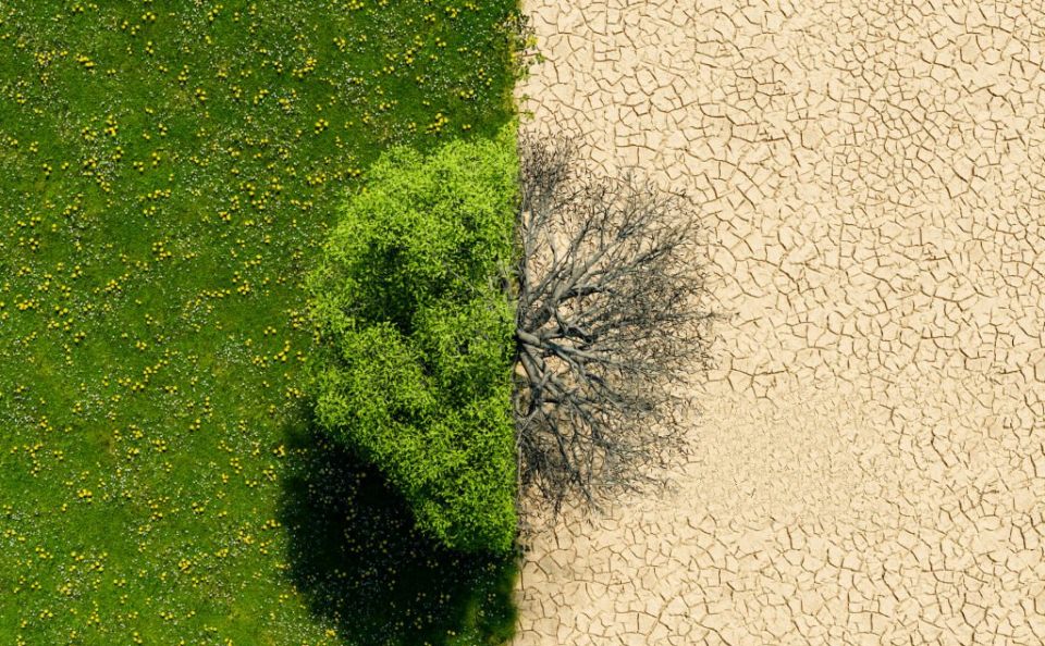 푸른나무와 잔디가 수분기 없이 바짝 말라 사막화가 진행 중이다. / 사진.무료이미지 사이트 픽사베이 