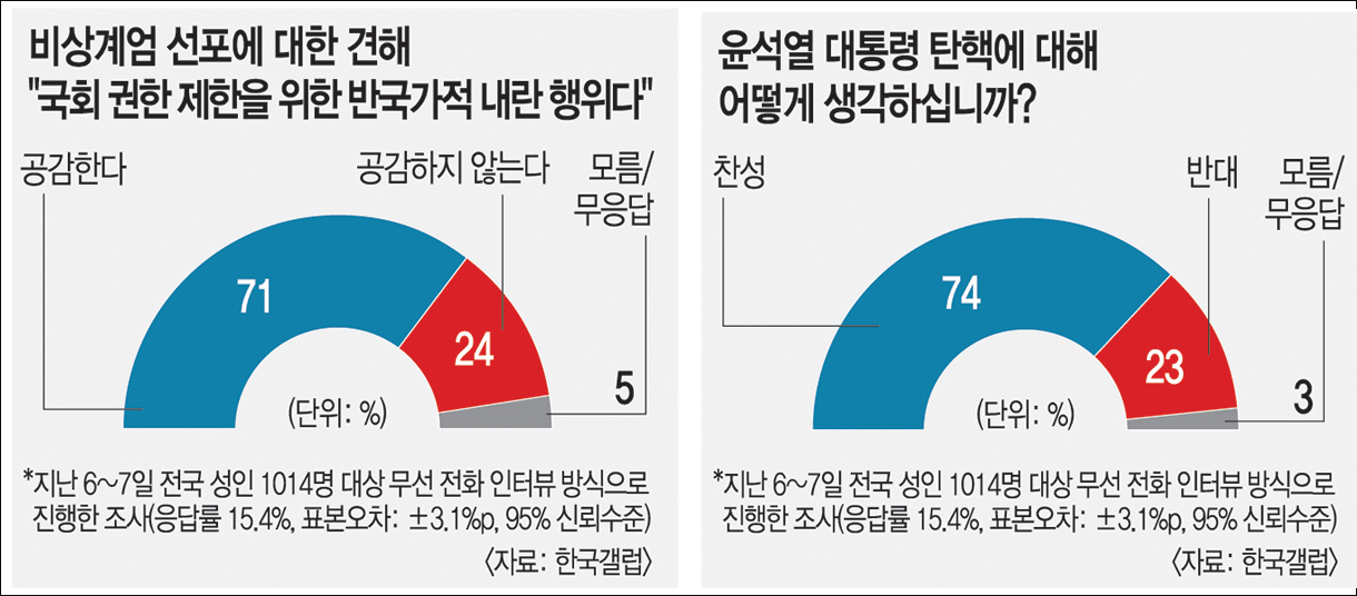 자료 출처. 국민일보 홈페이지(2024.12.9)