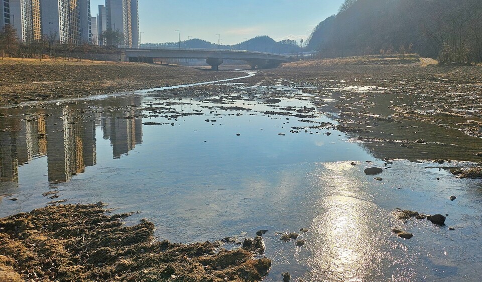 대구 동구 지묘동 '동화천 하천정비사업' 공사 현장 중심부를 따라 새 하천 물길이 나 있다(2025.1.8) / 사진.평화뉴스 정준민 기자