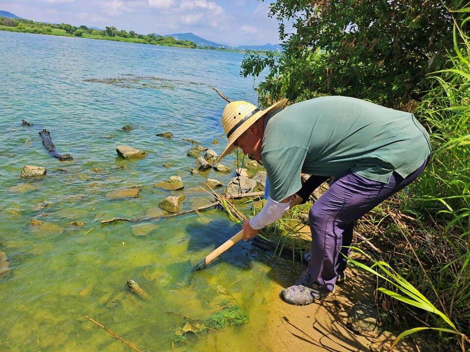 곽상수 창녕환경운동연합 의장이 화원유원지 낙동강 가장자리 흙을 퍼내고 있다.(2024.8.20) / 사진.평화뉴스 정준민 기자
