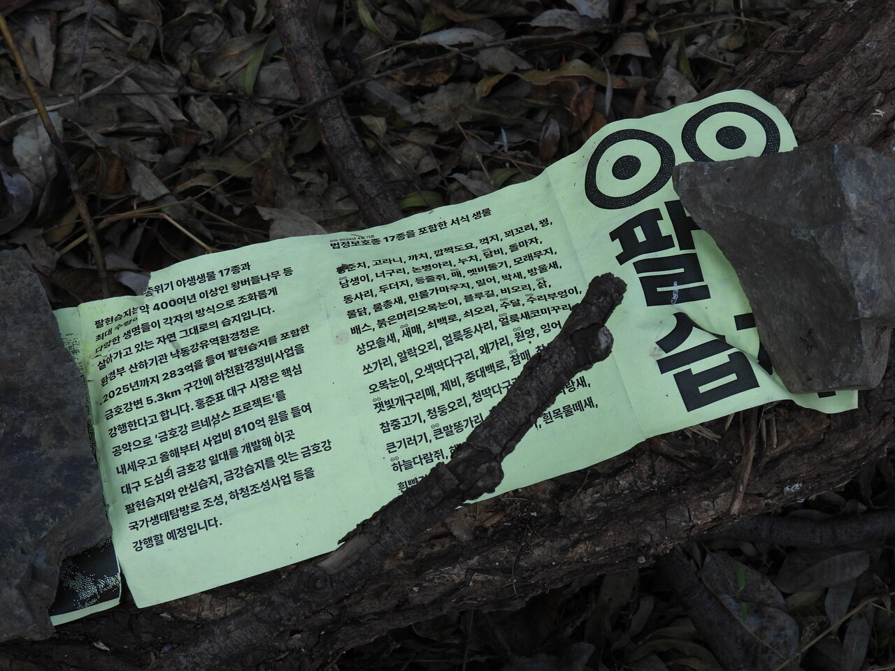 대구시가 추진하는 '금호강 르네상스 프로젝트'를 비판하는 전단지(2025.1.14) / 사진.이지윤