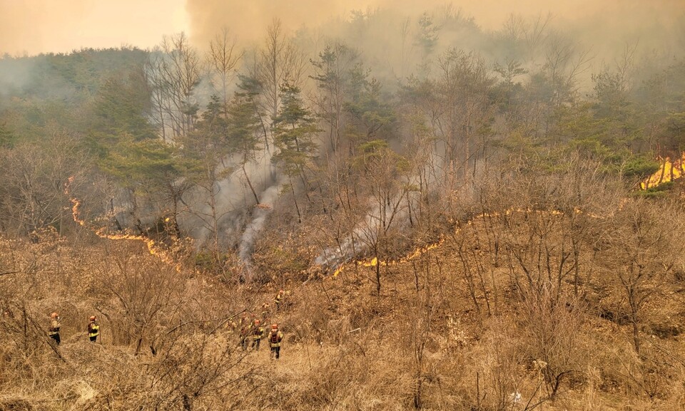 경북 의성군 한 야산에 산불이 번진 모습(2025.3.23) / 사진 제공.경북소방본부
