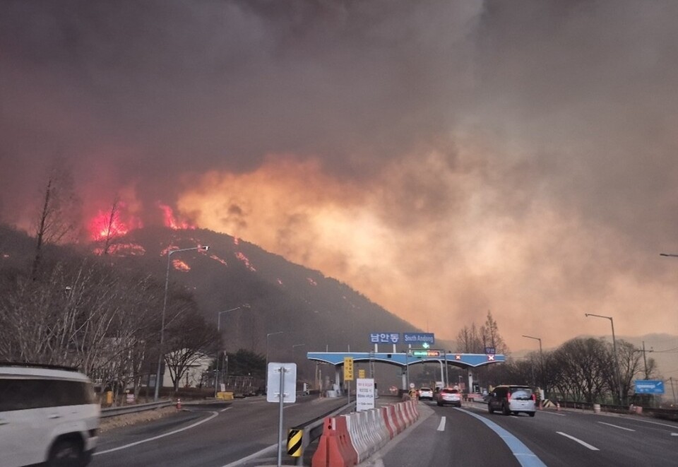 남안동 톨게이트 부근에 산불로 연기가 자욱하게 낀 모습(2025.3.25) / 사진.평화뉴스 김영화 기자
