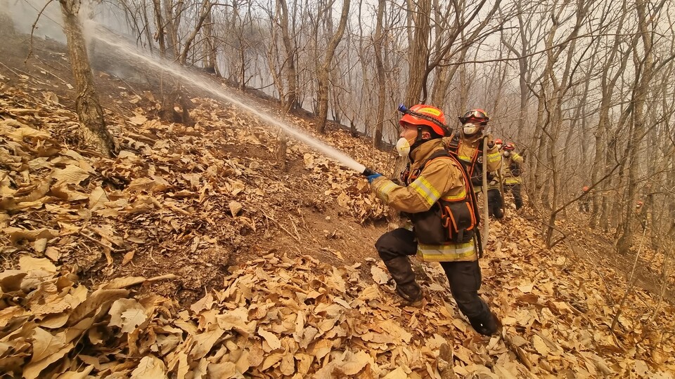 경북 의성군에서 한 소방관이 진화 작업을 펼치고 있다.(2025.3.25) / 사진 제공.경북소방본부