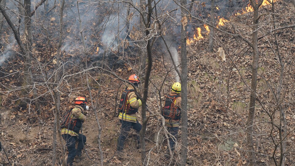 경북 의성군 한 야산에서 발생한 산불을 소방관들이 진화 작업 중이다.(2025.3.23) / 사진.경북소방본부