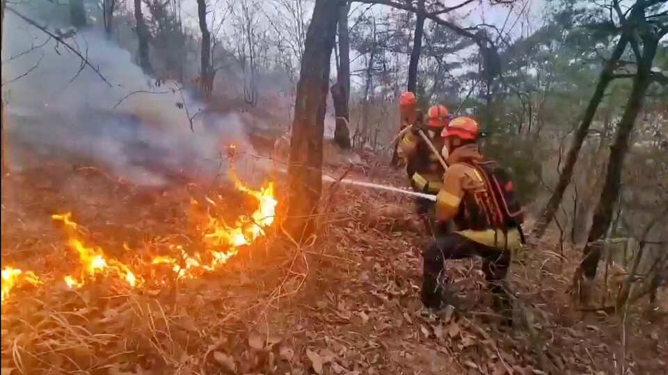 경북 의성군에서 소방관들이 진화 작업을 하는 모습(2025.3.25) / 사진 제공.경북소방본부