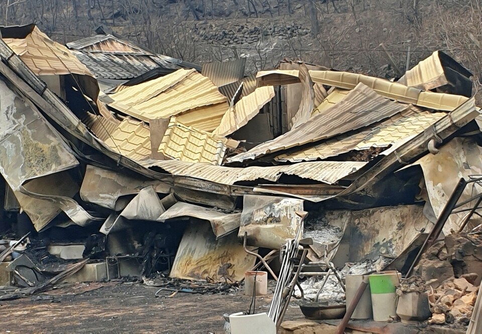 경북 안동 임하면 나천길 산불이 휩쓸고 간 뒤 폐허가 된 집들(2025.3.27) / 사진.독자 제공