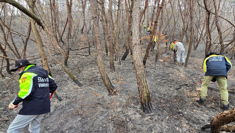 의용소방대 대원들이 안동시 남후면 야산에 방화선 구축 작업을 하고 있다.(2025.3.28) / 사진 제공.경북소방본부