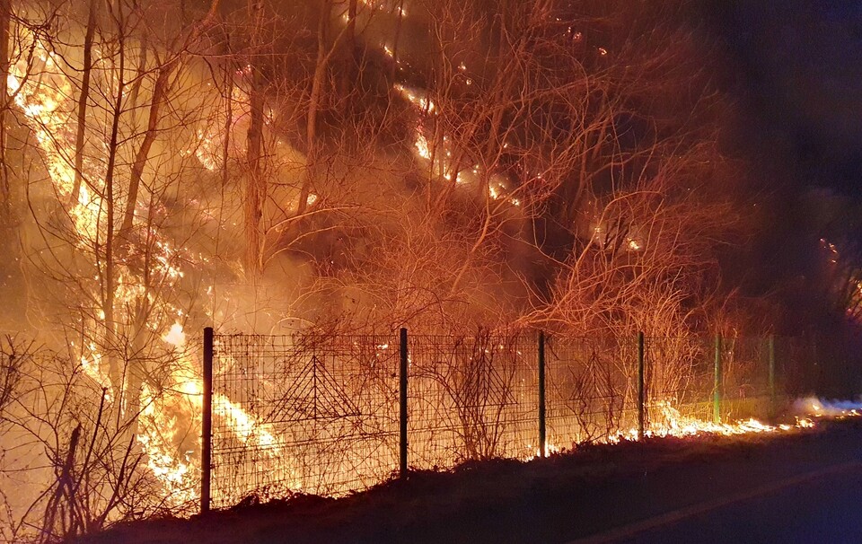경상북도 안동시 일직면에서 발생한 산불로 숲에 있는 나무들이 불에 활활 타고 있다.(2025.3.27) / 사진.경북소방본부