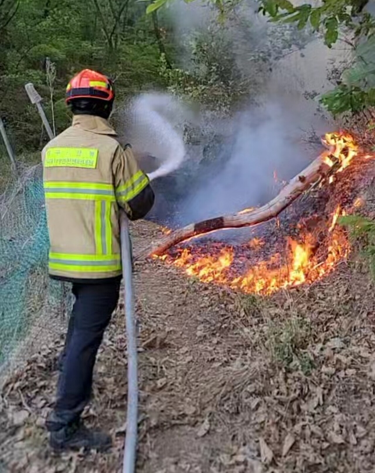 대구 북구 함지산 원담사 인근에서 소방관들이 불을 진화하고 있다.(2025.4.30) / 사진 제공.대구소방안전본부