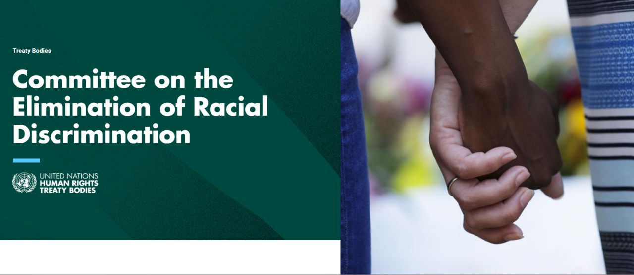유엔 인종차별철폐위원회(UN.CERD) 홈페이지