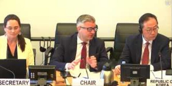 유엔 인종차별철폐위원회(UN.CERD)' 국가보고서 심의 회의 / 사진.대구대책위