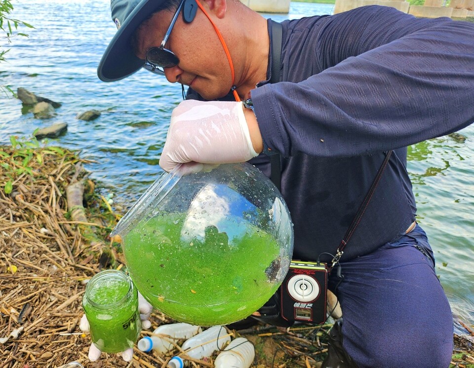 정수근 대구환경운동연합 사무처장이 녹조로 초록색이 된 강물을 통에 담고 있다.(2024.8.20) / 사진.평화뉴스 정준민 기자