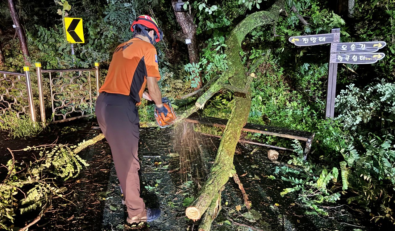 경북 구미시 형곡동 금오산 전망대쪽에서 토사 유출로 인해 나무가 쓰러져 도로를 막았다. 소방대원들이 체인톱으로 나무를 절단해 이동시키고 있다.(2025.7.18) / 사진.경북소방본부