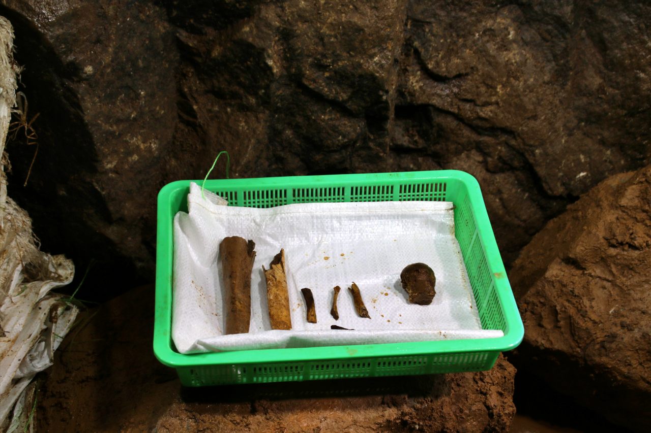 3차 유해발굴 중 갱도 내에서 발견된 유해. 갱도 안 바구니 안에 잔뼈들이 담겨있다.(2025.7.25) / 사진.평화뉴스 김영화 기자