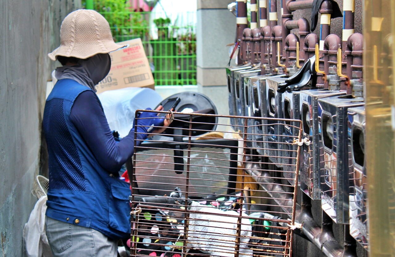 이희자씨가 계량기 옆에 높인 장애물들 사이에서 계량기를 보는 모습(2025.8.4) / 사진.평화뉴스 정준민 기자