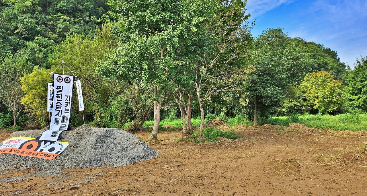 대구 수성구 고모동 팔현습지 보도교 공사 현장에 풀밭이 밀리고 자갈이 쌓였다(2025.9.8) / 사진.평화뉴스 정준민 기자