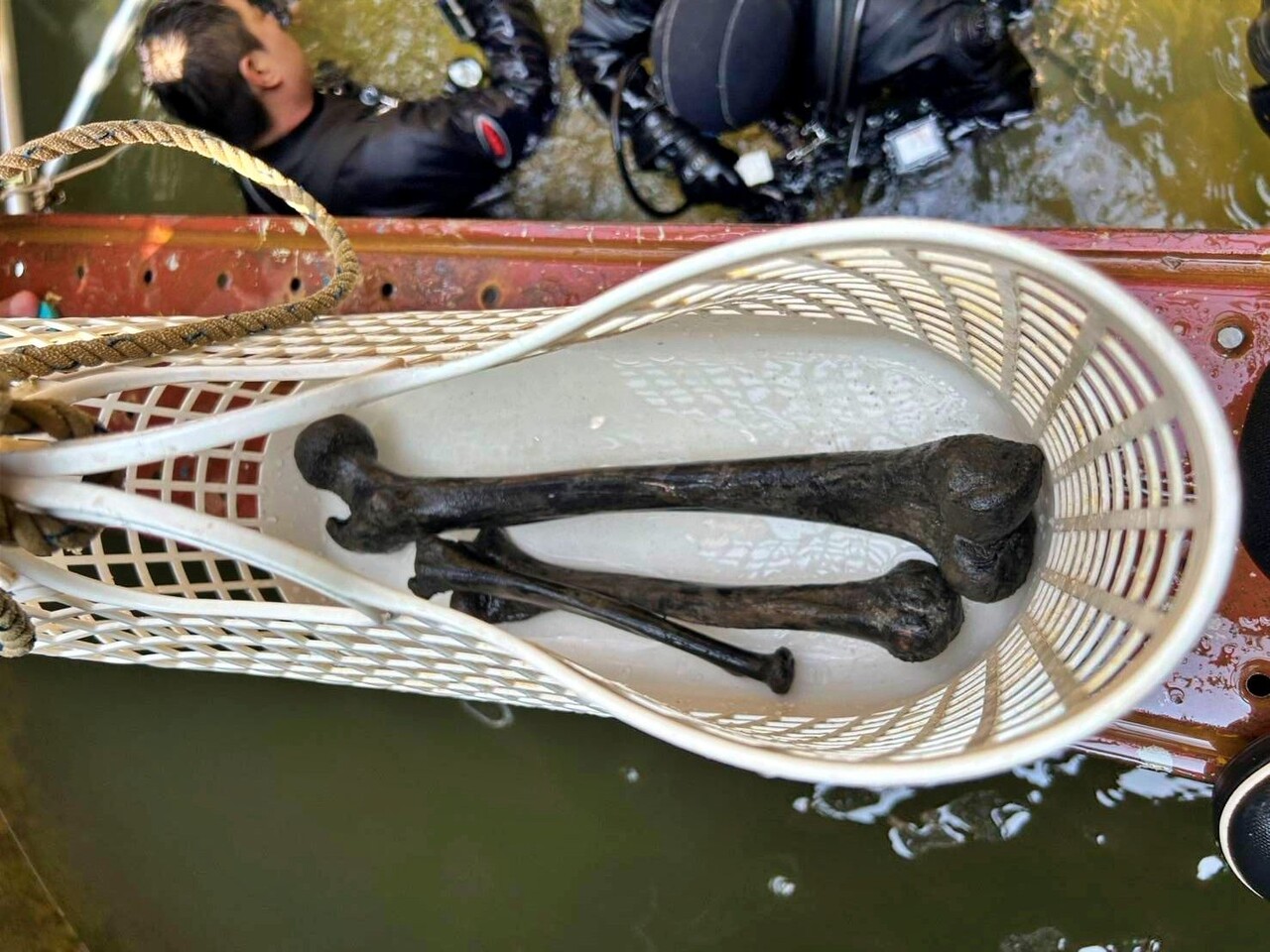 이날 찾은 유해들의 모습. 새기는회는 "사람 뼈 4개로 추정된다"고 밝혔다.(2025.8.25) / 사진.일본 시민단체 '조세이탄광의 물비상(수몰사고)을 역사에 새기는회'