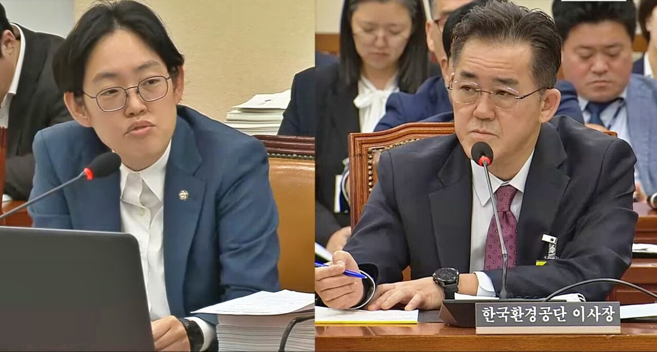 (왼쪽부터) 조지연 국민의힘 의원, 임상준 한국환경공단 이사장(2025.10.20) / 화면 캡쳐.국회 인터넷의사중계시스템